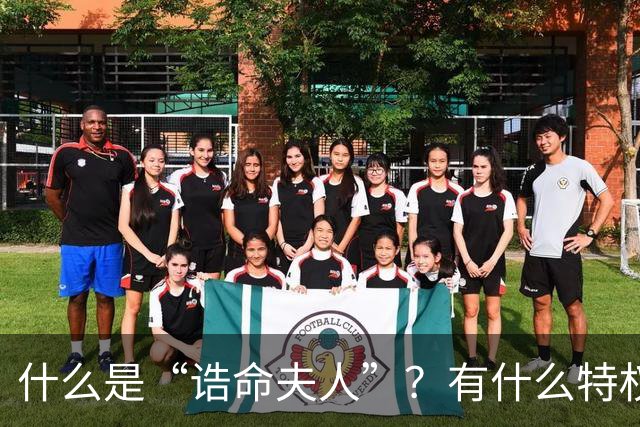 什么是“诰命夫人”？有什么特权和好处
