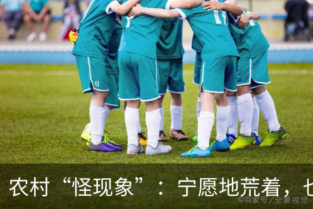 农村“怪现象”：宁愿地荒着，也不种粮食，把专家气够呛，咋回事